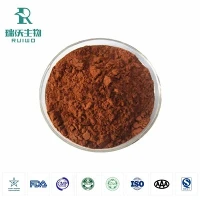 Ren Rhodiola Rosea ekstrakt pulver